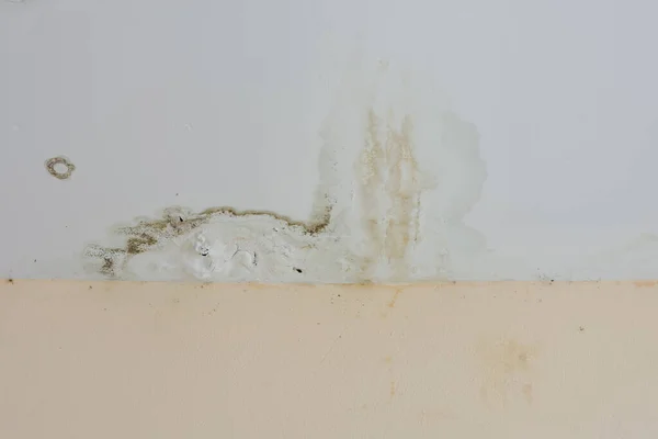 duvarda küf ve sararti belirtileri