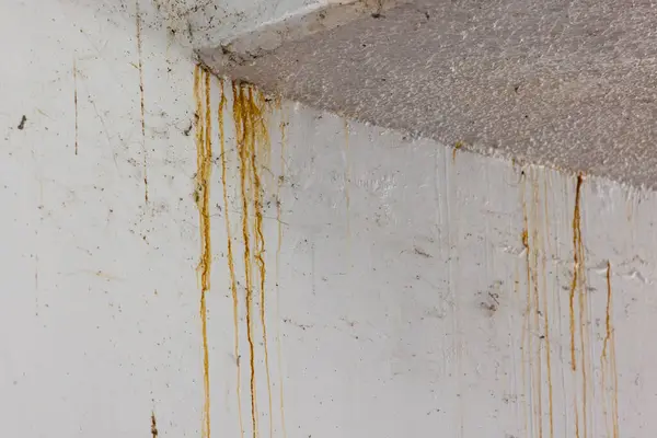 evde su kaçağı tespiti