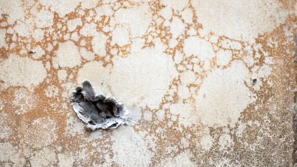 gizli su kacagi belirlileri