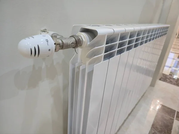 kalorifer peteginden ses gelmesi