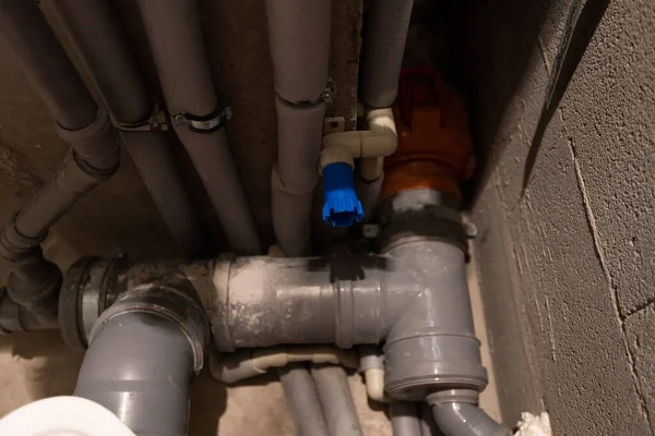 su kacagi ilk isaretler