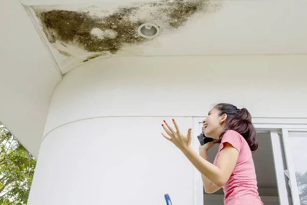 su kacagi sigorta kapsamina girer mi