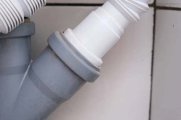 su kacagi tespiti yapilirken nerelere bakilir